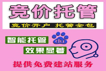 SEM运营公司经典案例点评